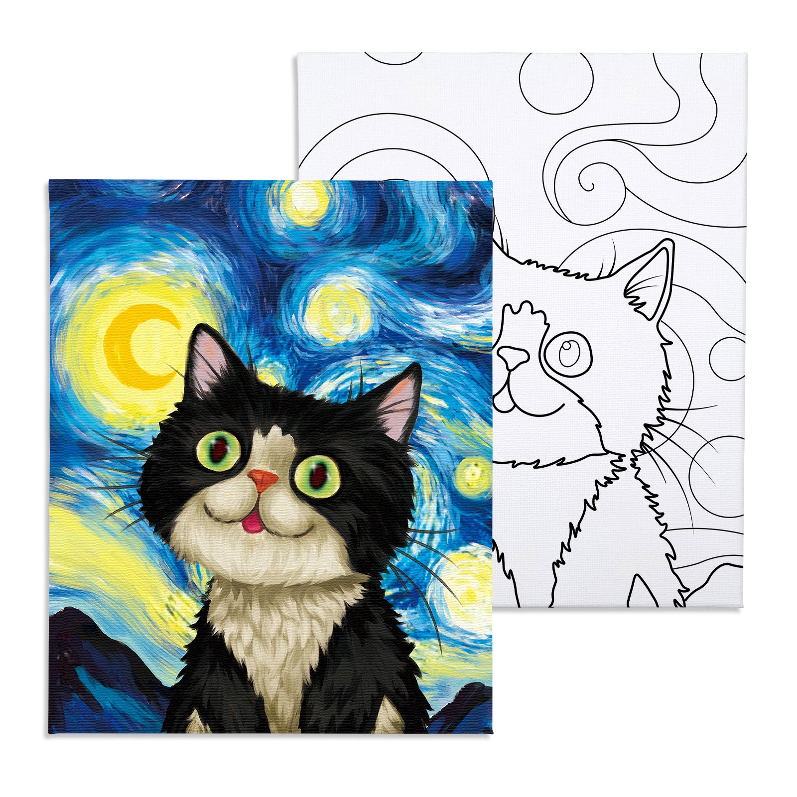 The Starry Sky Cat Paint Party Kits Pre Drawn Canvas Paint and Sip for
